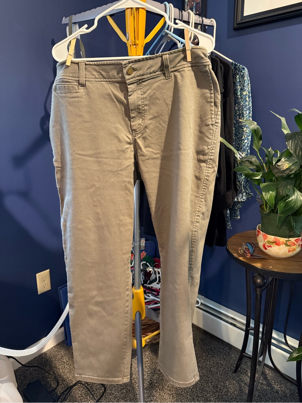Market & Spruce Women's Chino Pants in Tan